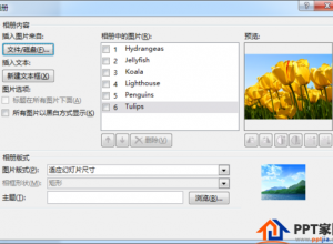 PPT怎么制作飞机飞过的切换效果