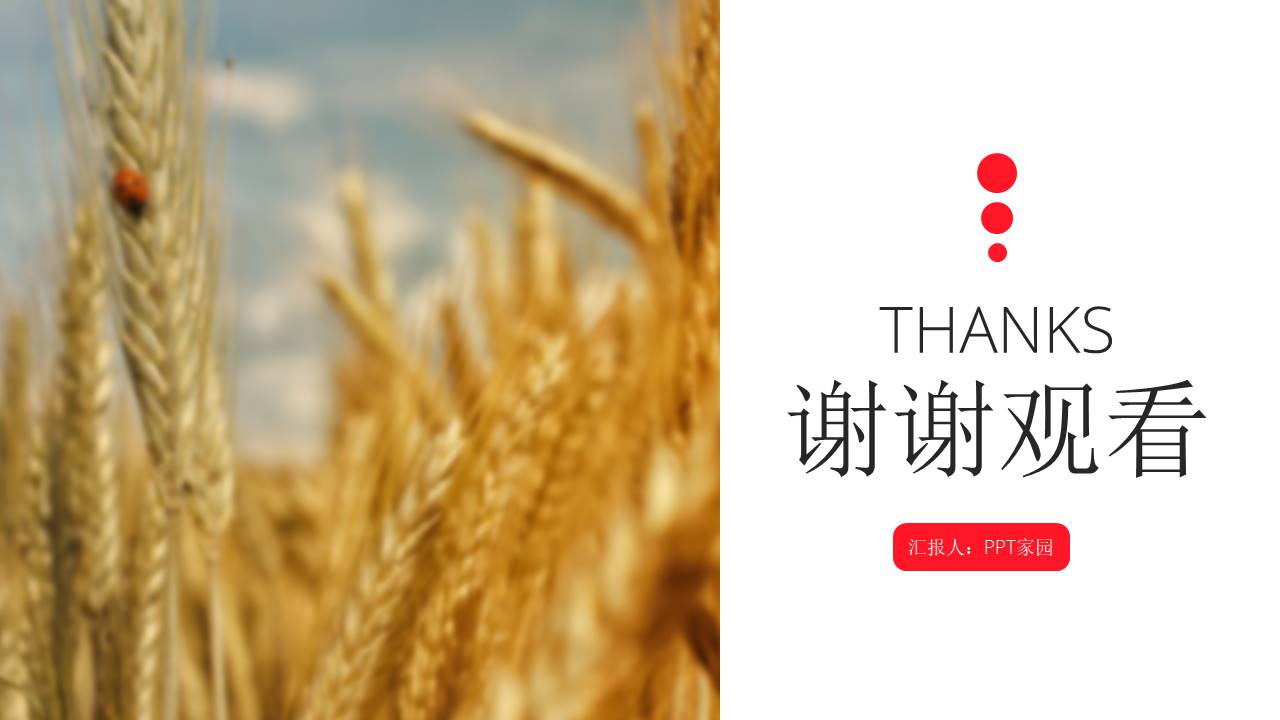 杂志风工作总结PPT模板