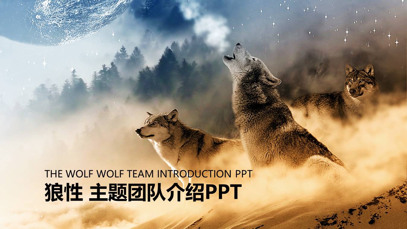 狼主题ppt模板 