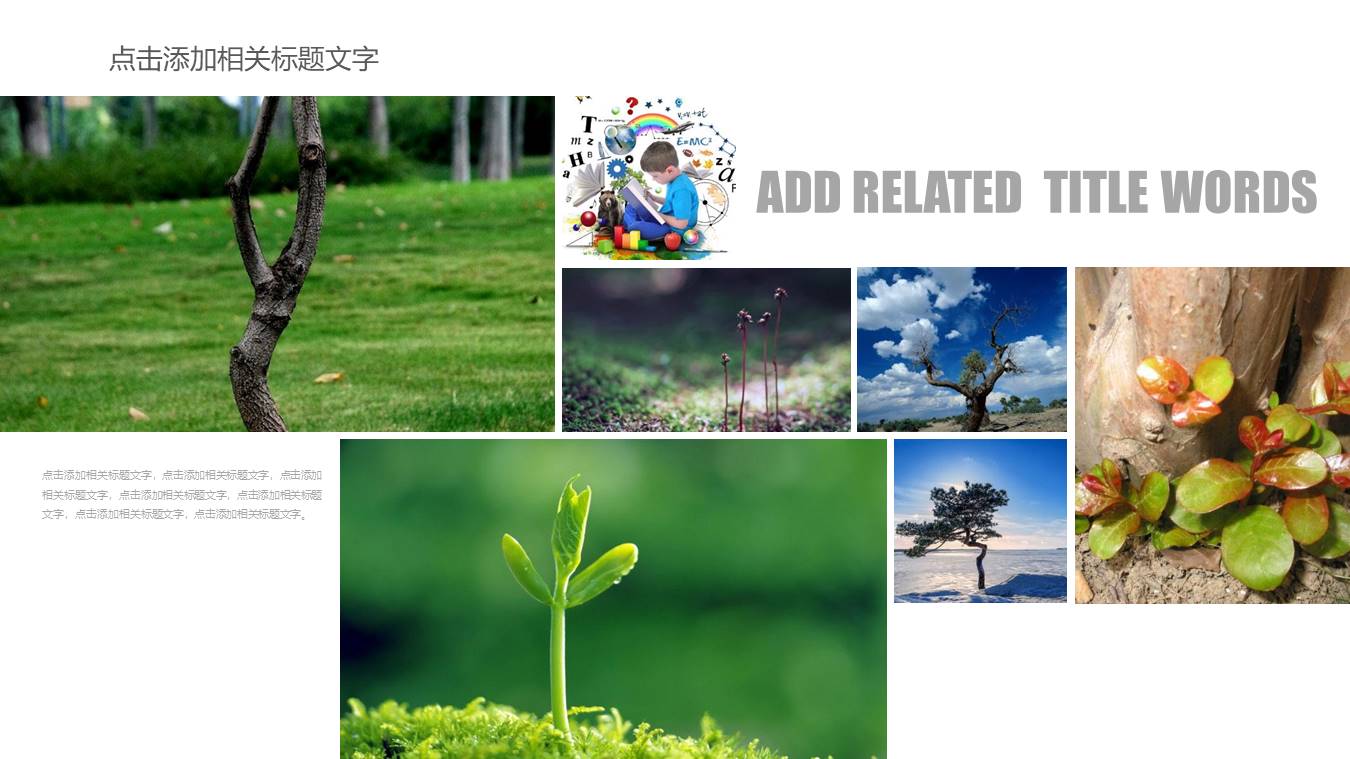 节能减排ppt