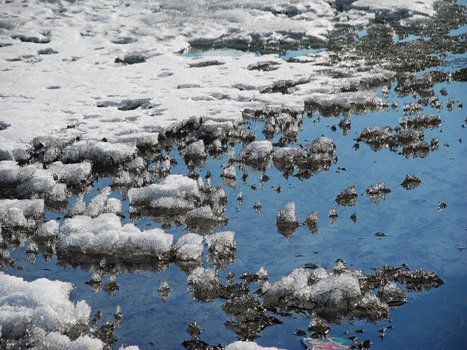 春天来了ppt模板 