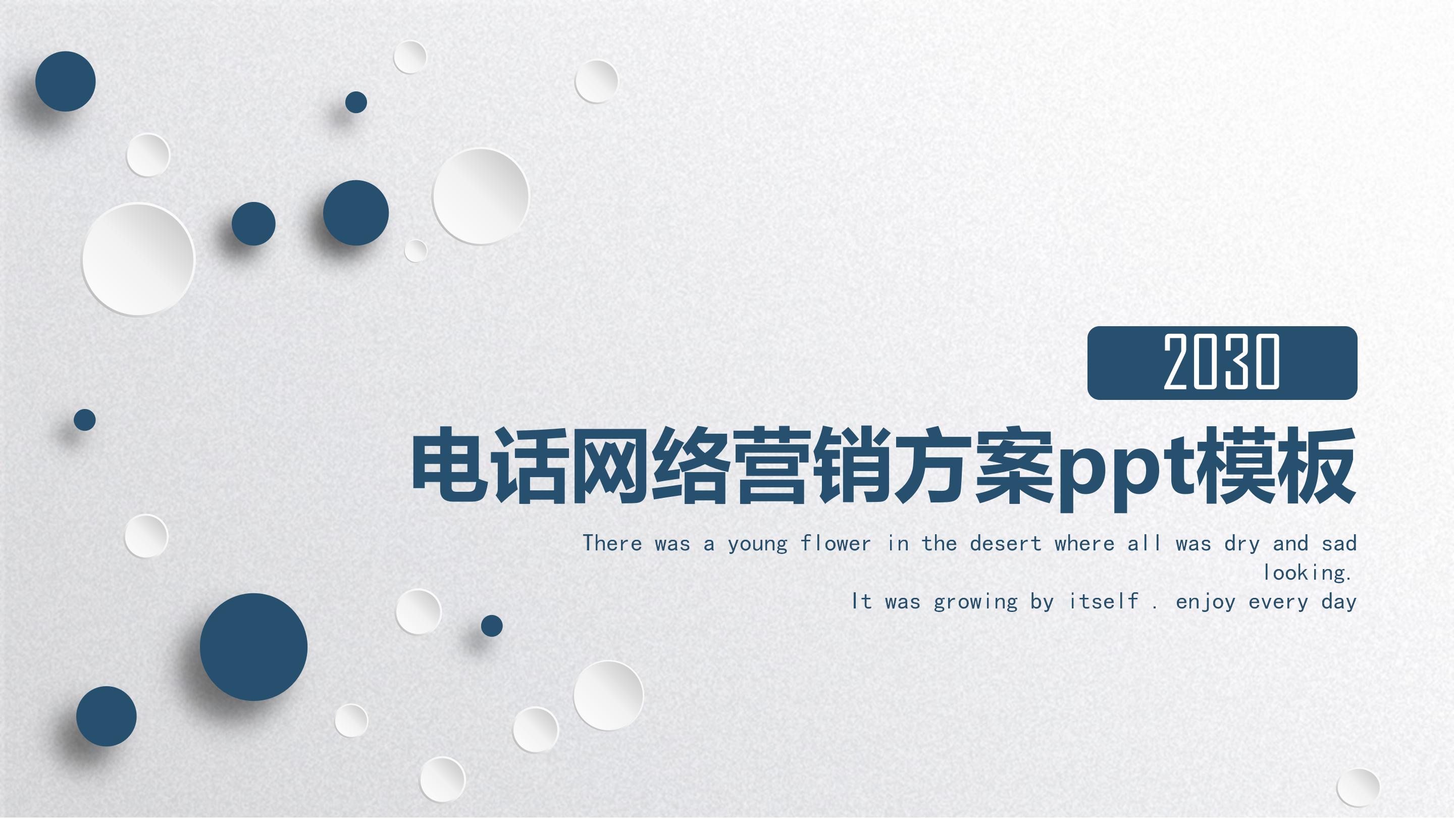 电话网络营销方案ppt模板