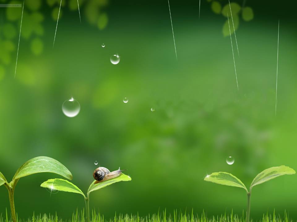 春天的声音-春天的小雨滴滴滴ppt