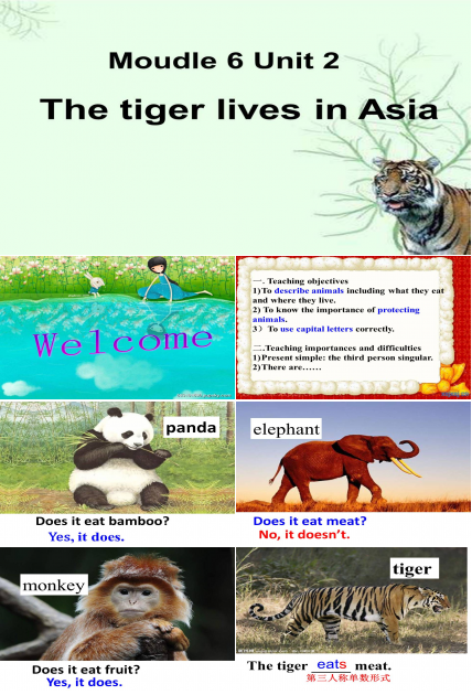 熊猫英文故事ppt模板 