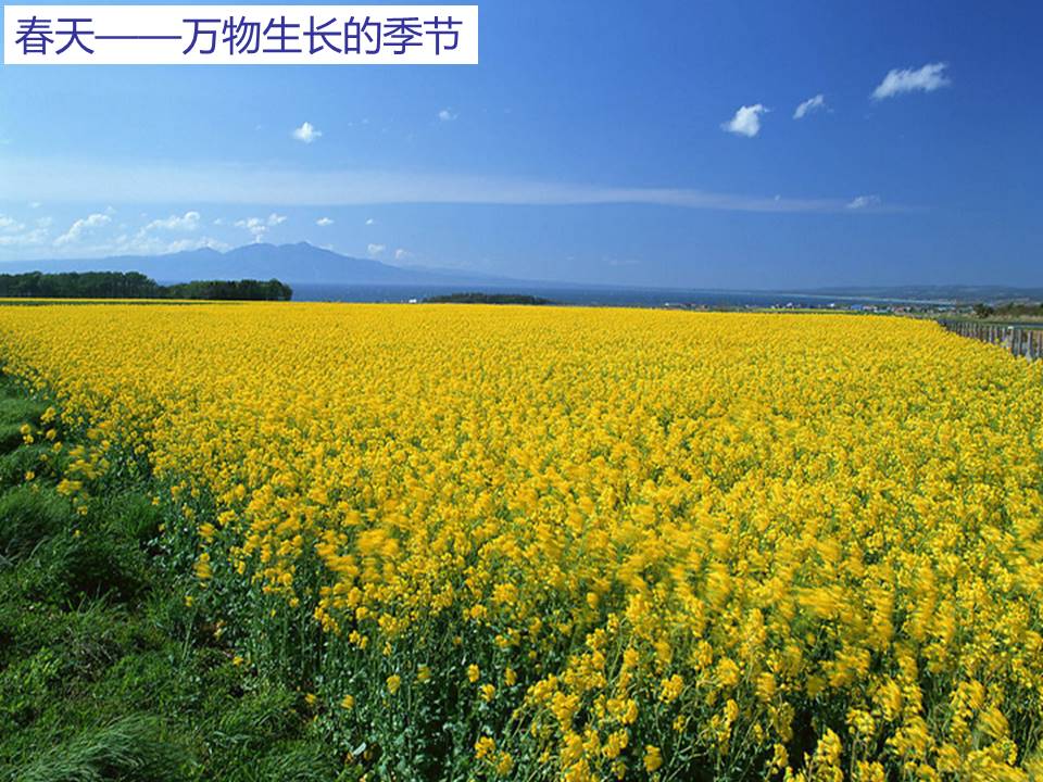 春天的声音-春之声ppt 