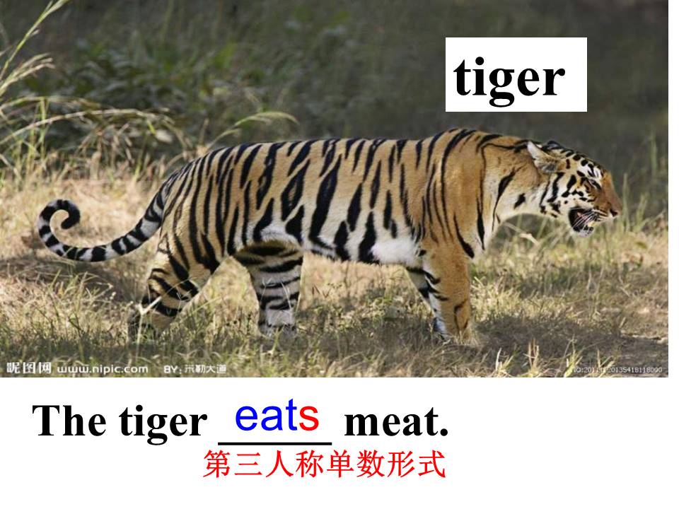 熊猫英文故事ppt模板 