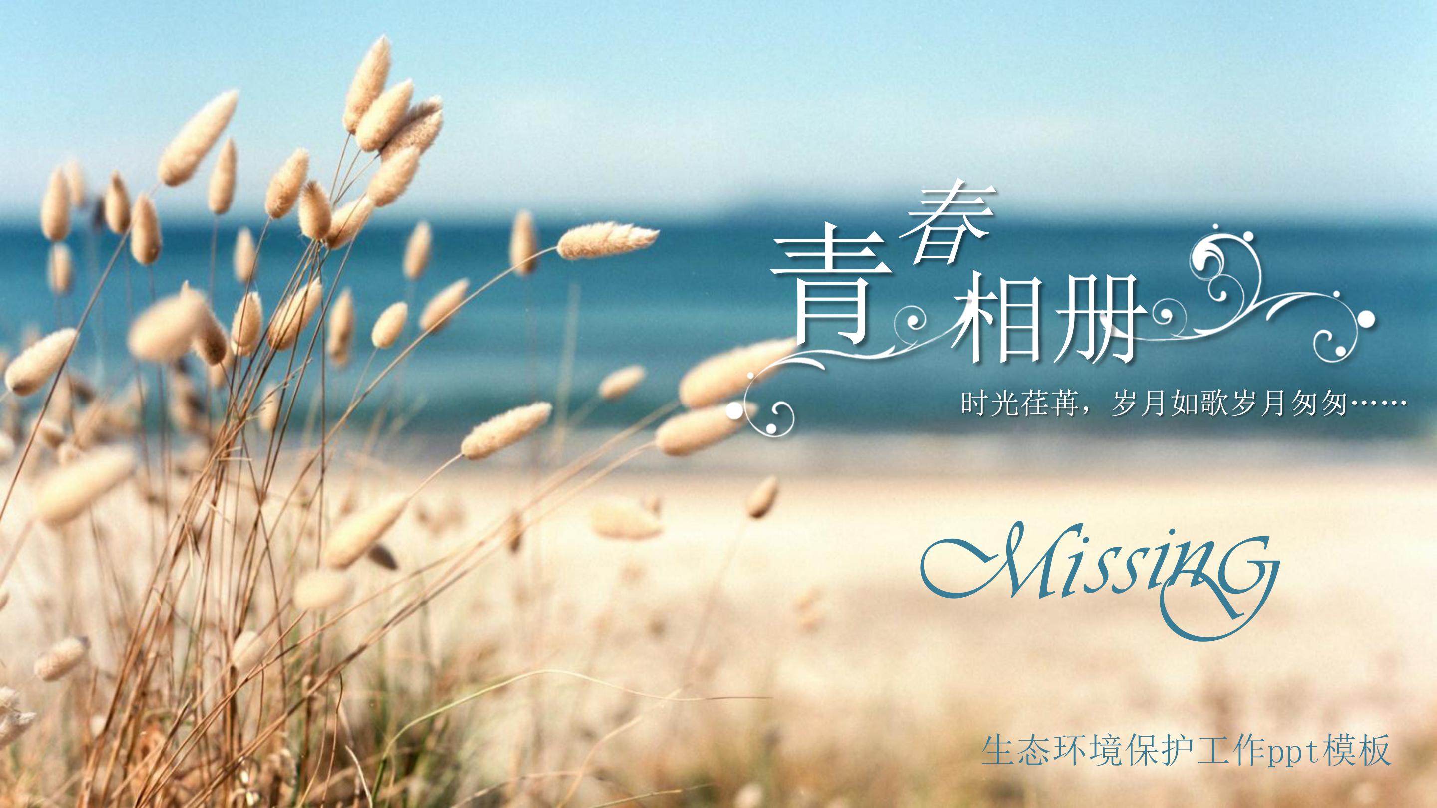 生态环境保护工作ppt模板