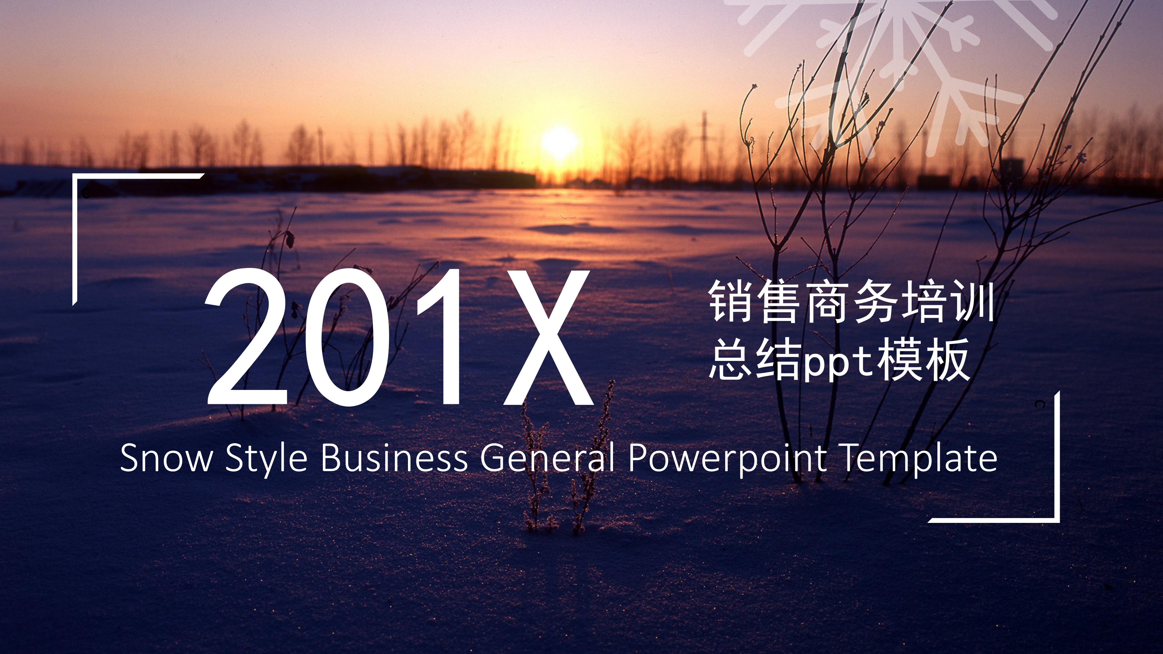 销售商务培训总结ppt模板