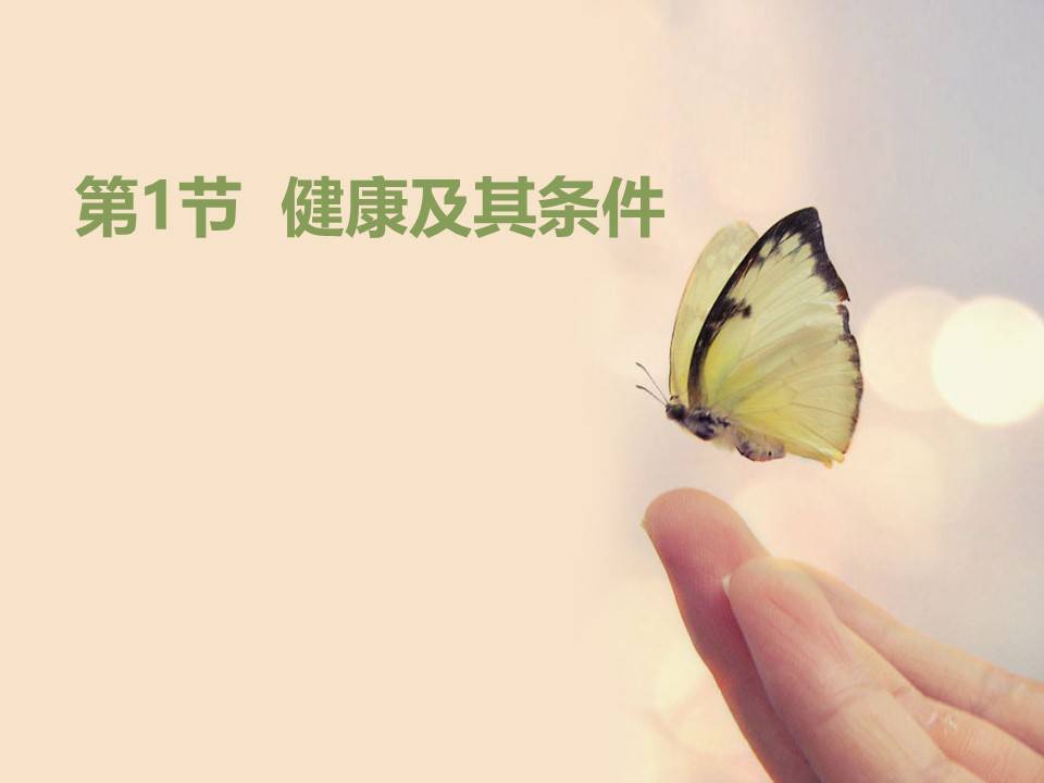饮食与健康课件ppt模板