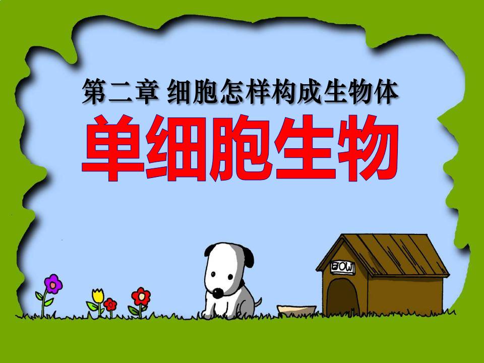 细胞生物的ppt模板 