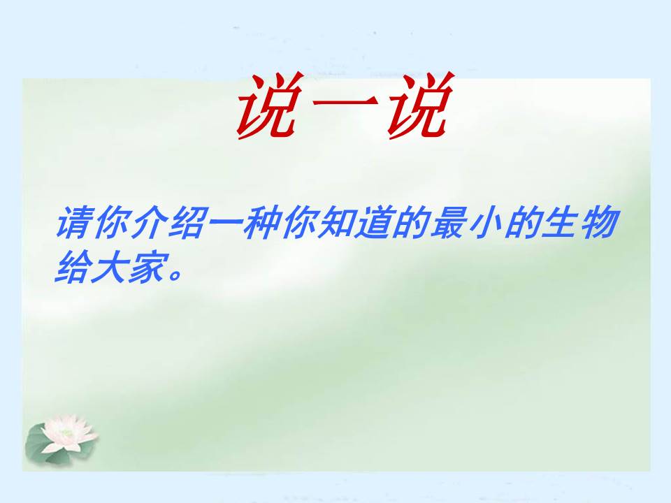 单细胞生物ppt模板
