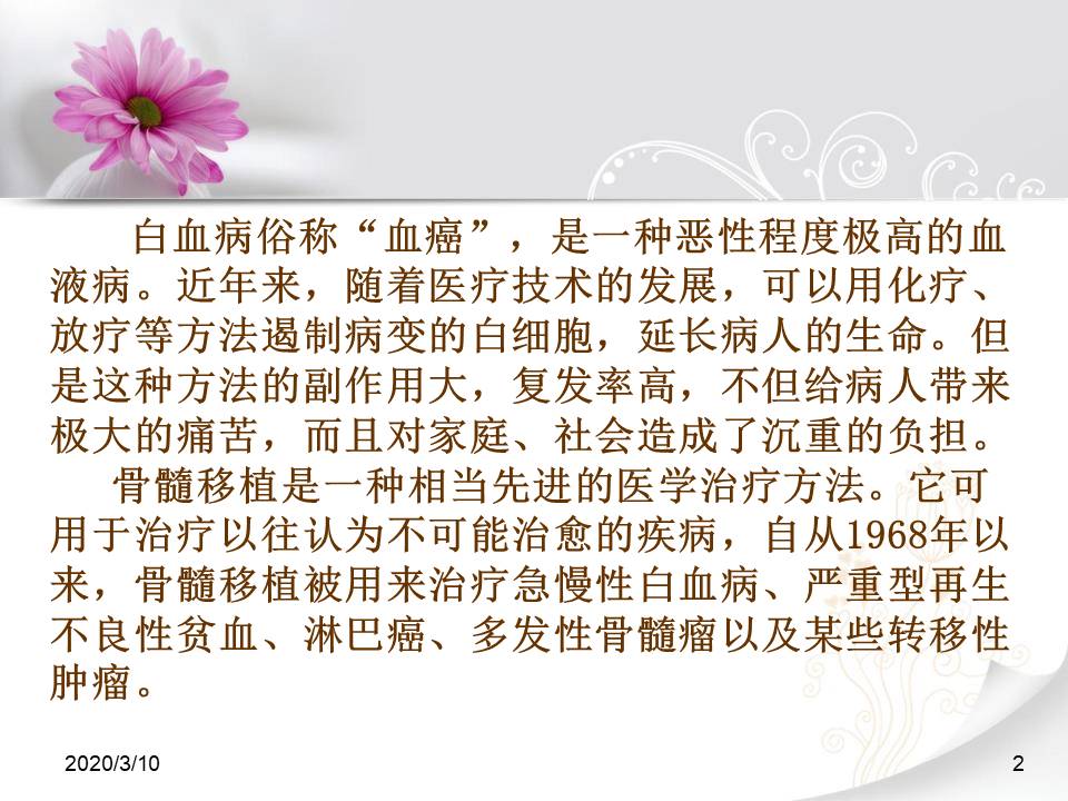 跨越海峡的生命桥ppt课件 