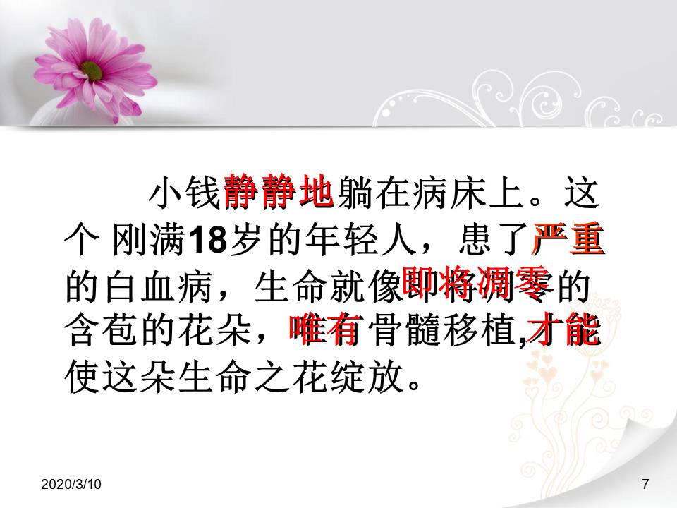 跨越海峡的生命桥ppt课件 