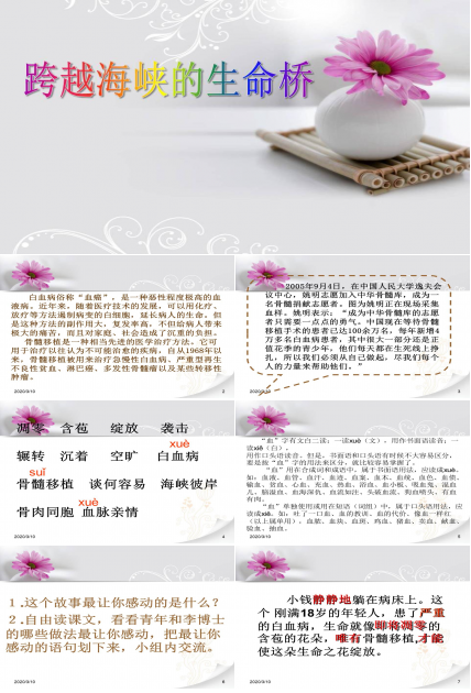 跨越海峡的生命桥ppt课件 