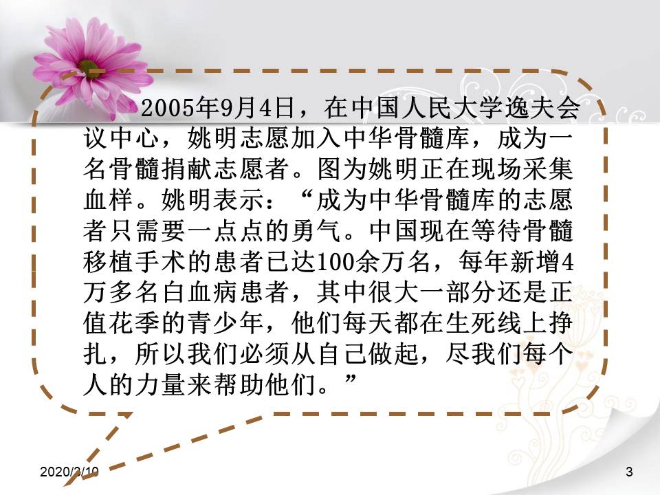 跨越海峡的生命桥ppt课件 