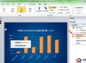 PPT如何制作逐个展示的动态图表