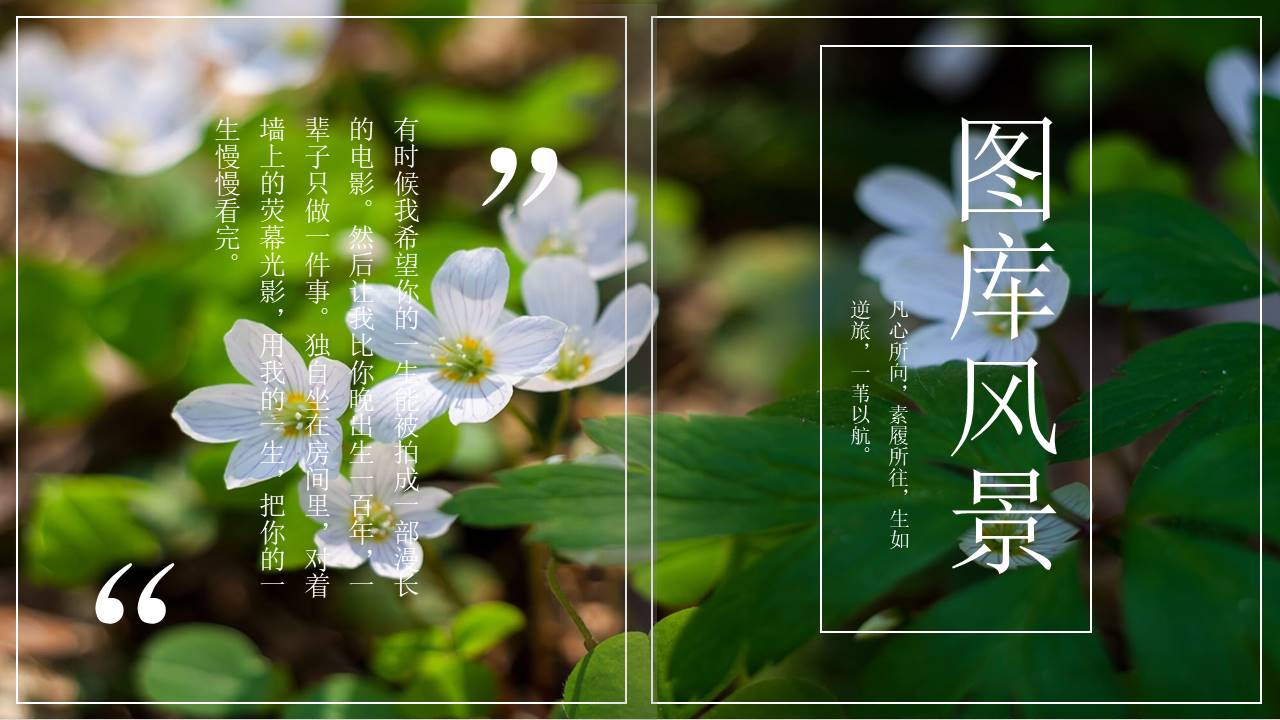 非凡图库ppt