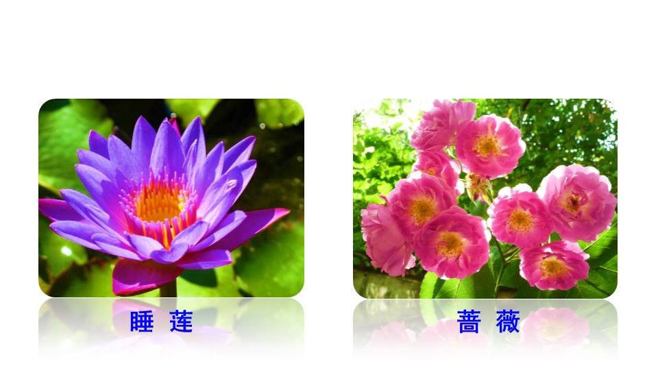 花钟ppt课件