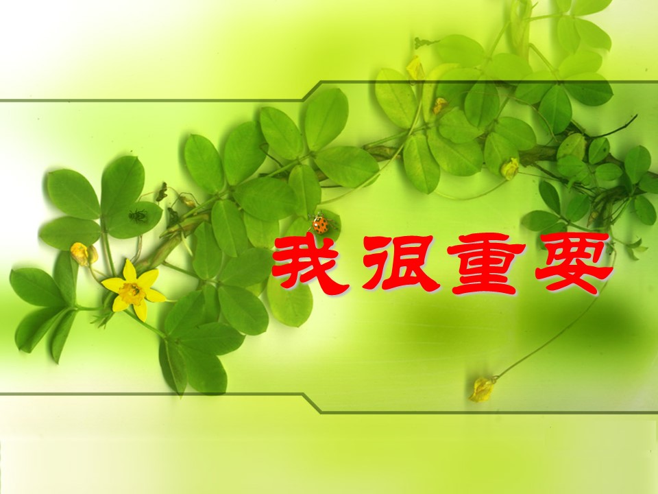 我很重要公开课ppt 