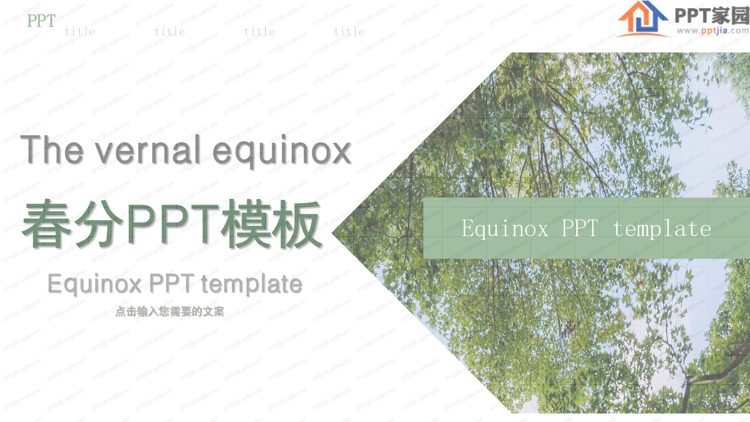 时尚绿色二十四节气春分介绍ppt模板