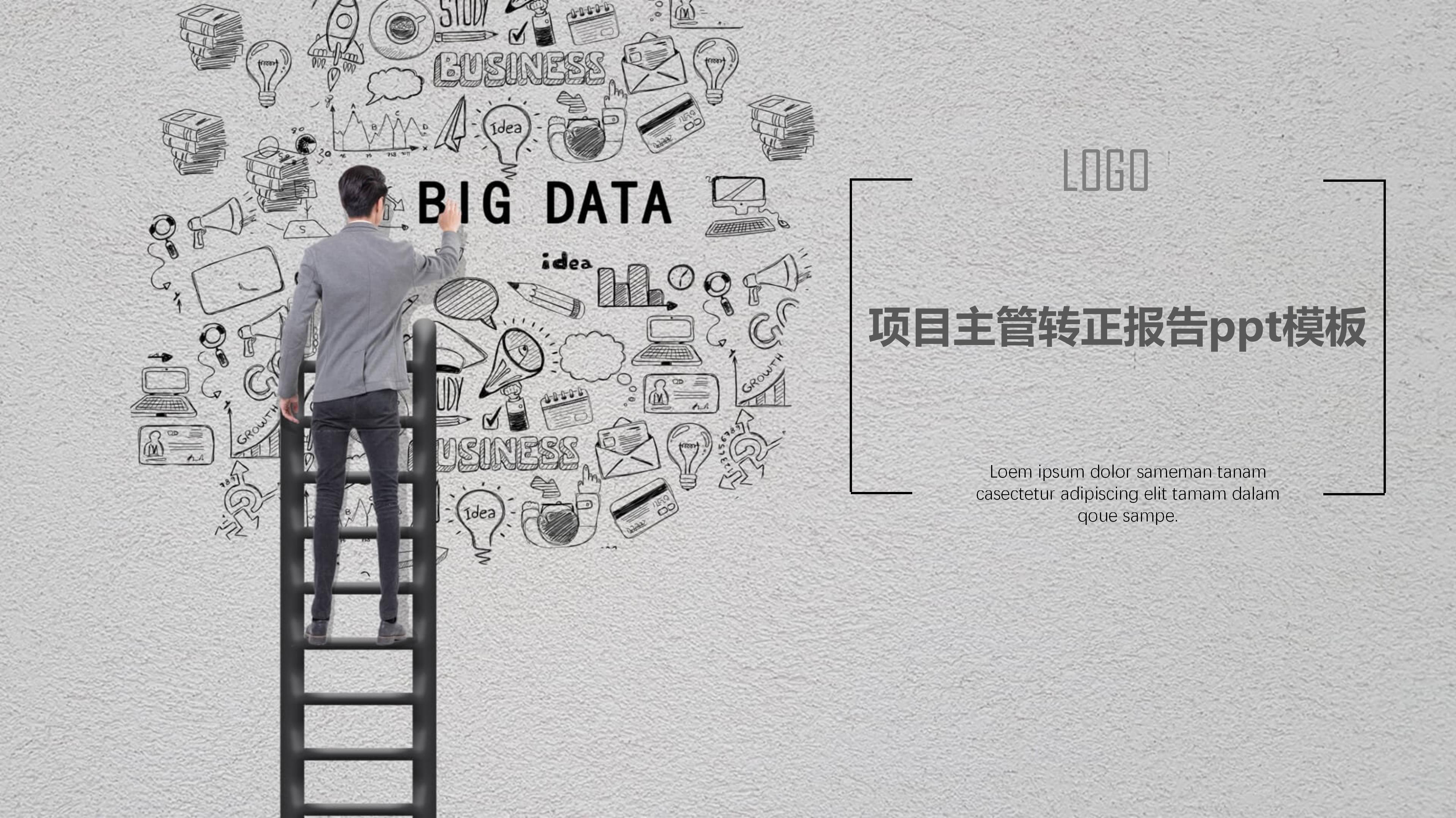 项目主管转正报告ppt模板