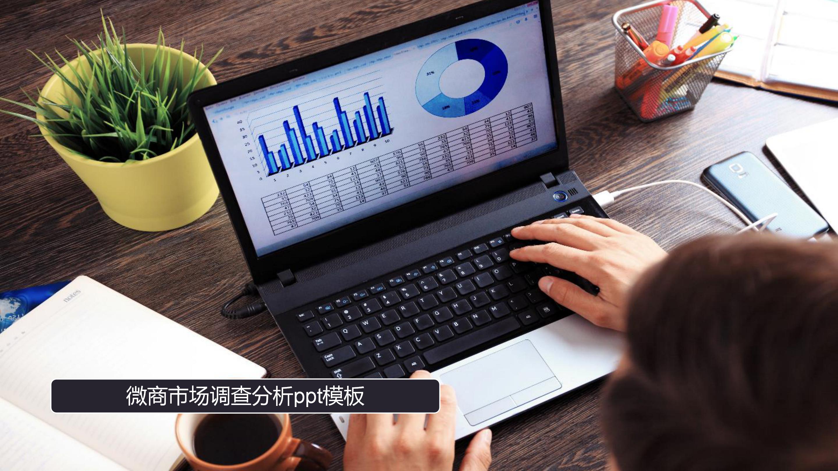 微商市场调查分析ppt模板