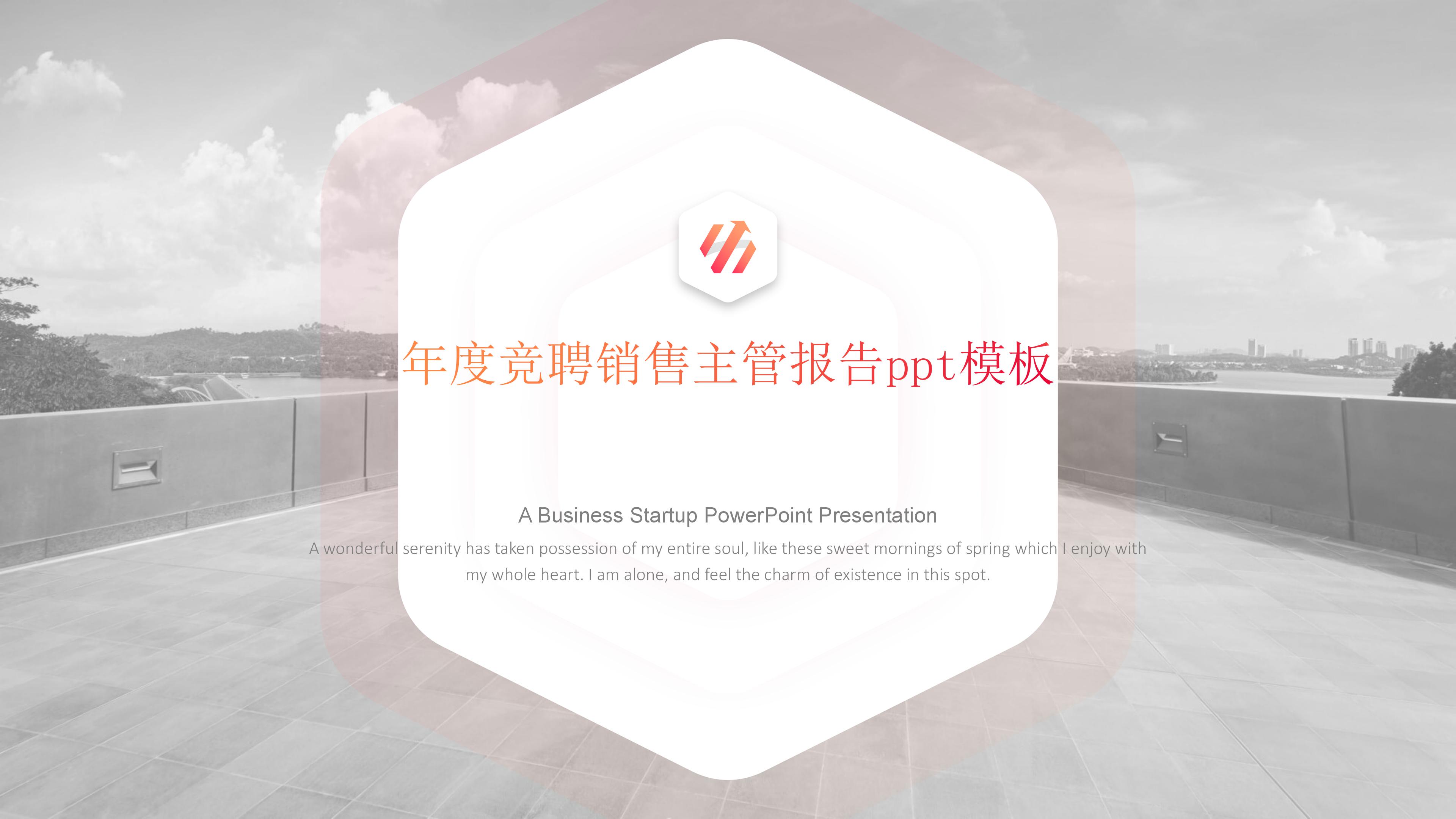 年度竞聘销售主管报告ppt模板