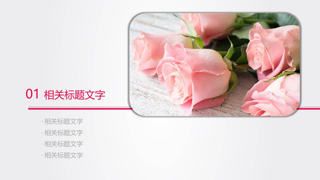 玫瑰花免费ppt模板