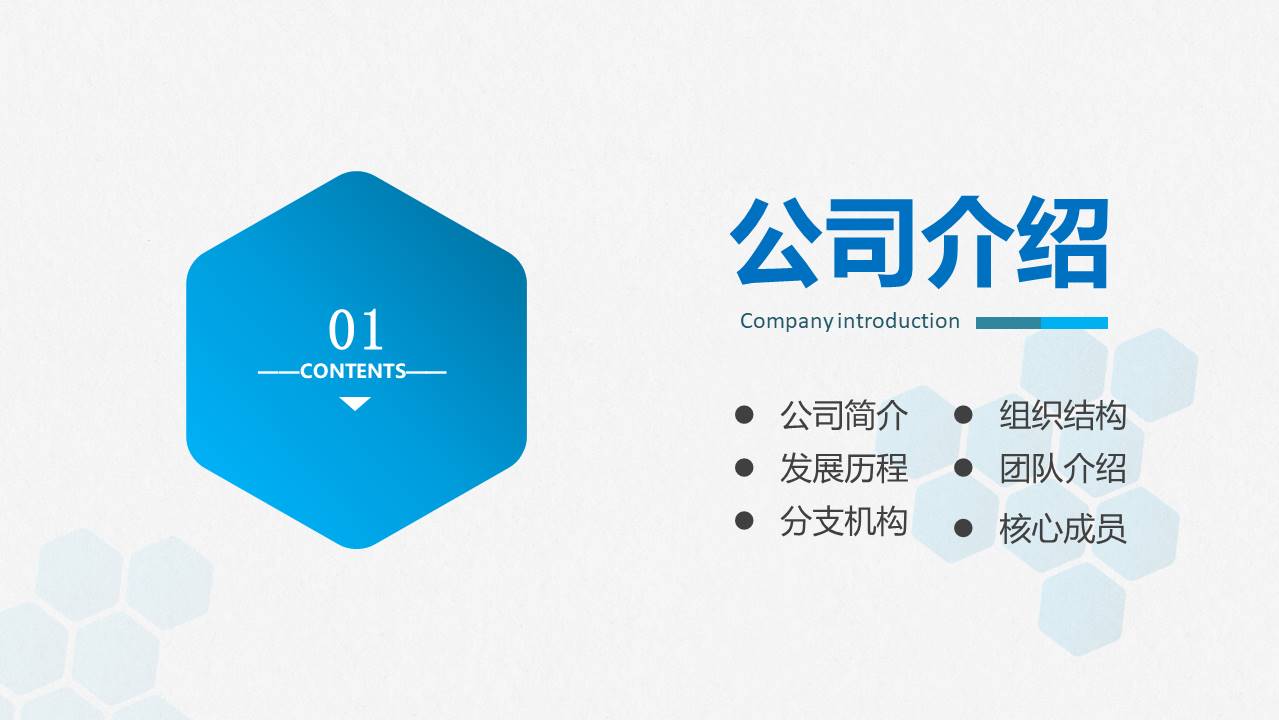 新公司成立方案模板ppt