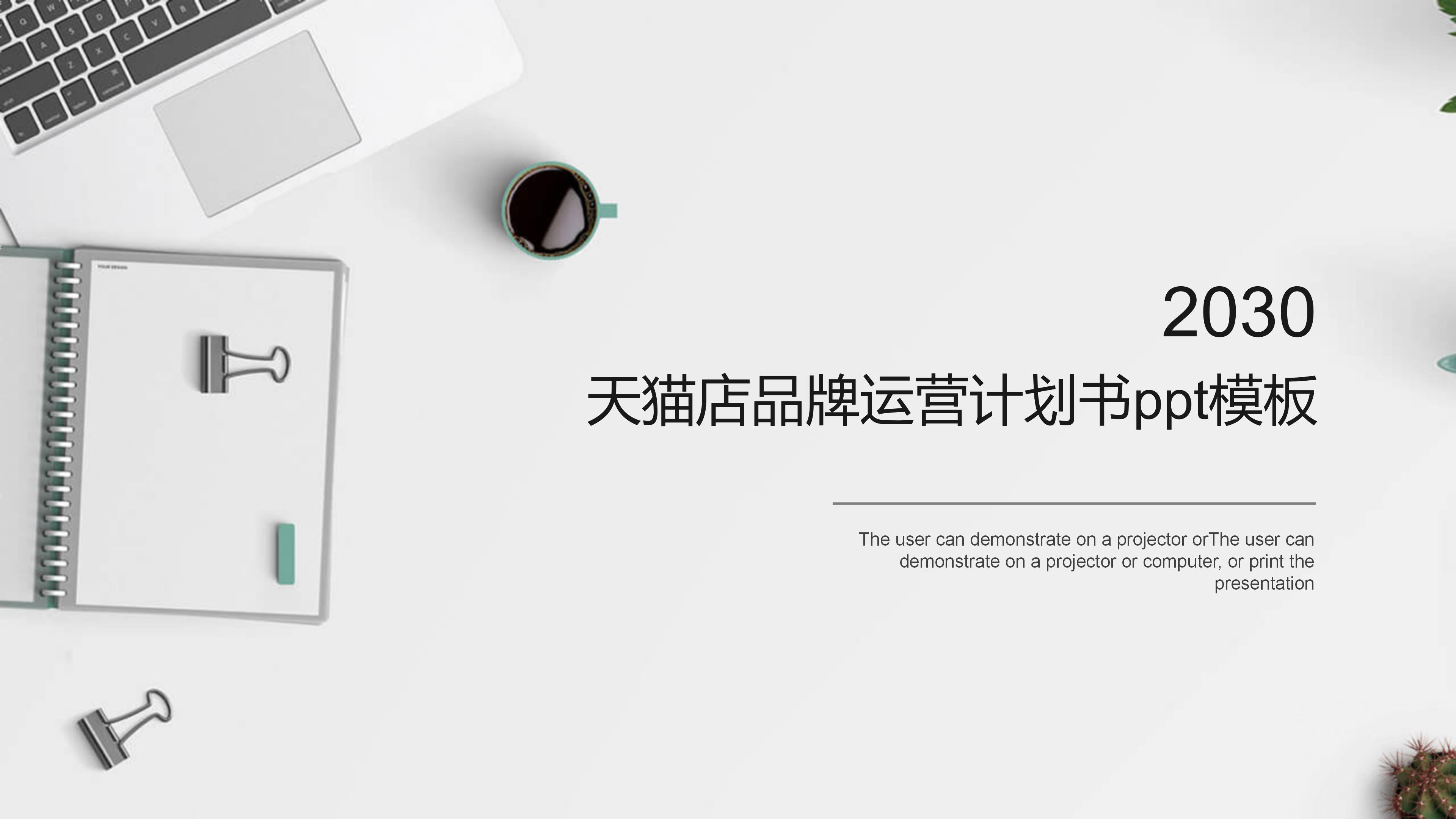 天猫店品牌运营计划书ppt模板