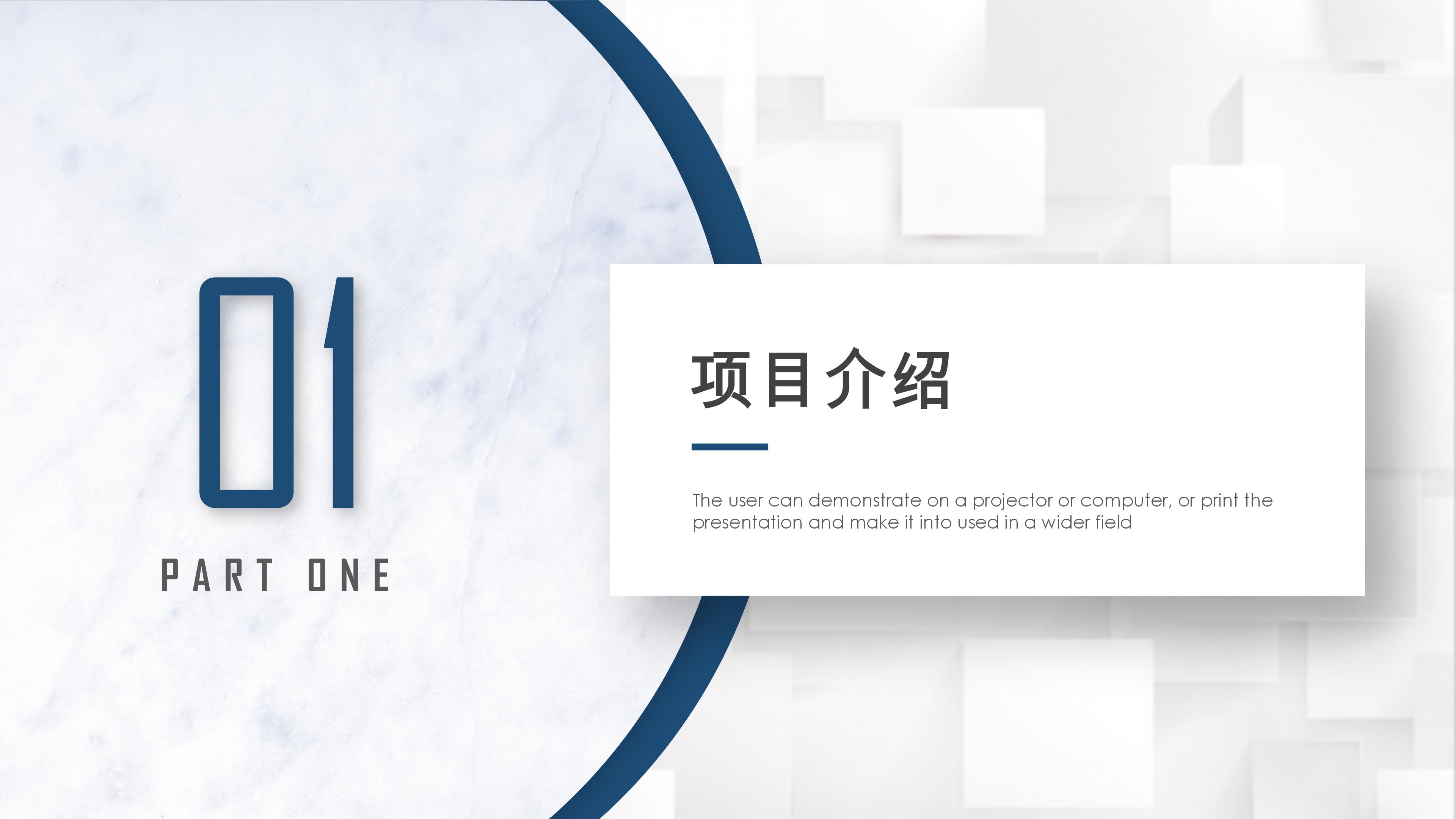 电商招商运营方案ppt模板