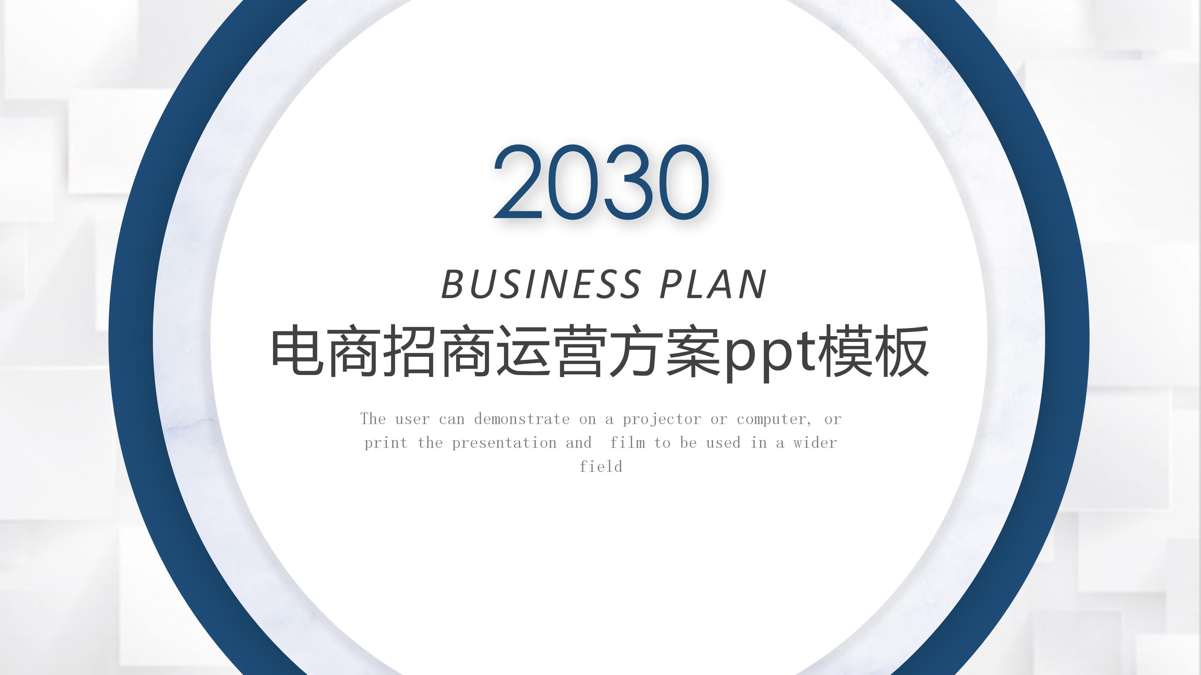 电商招商运营方案ppt模板