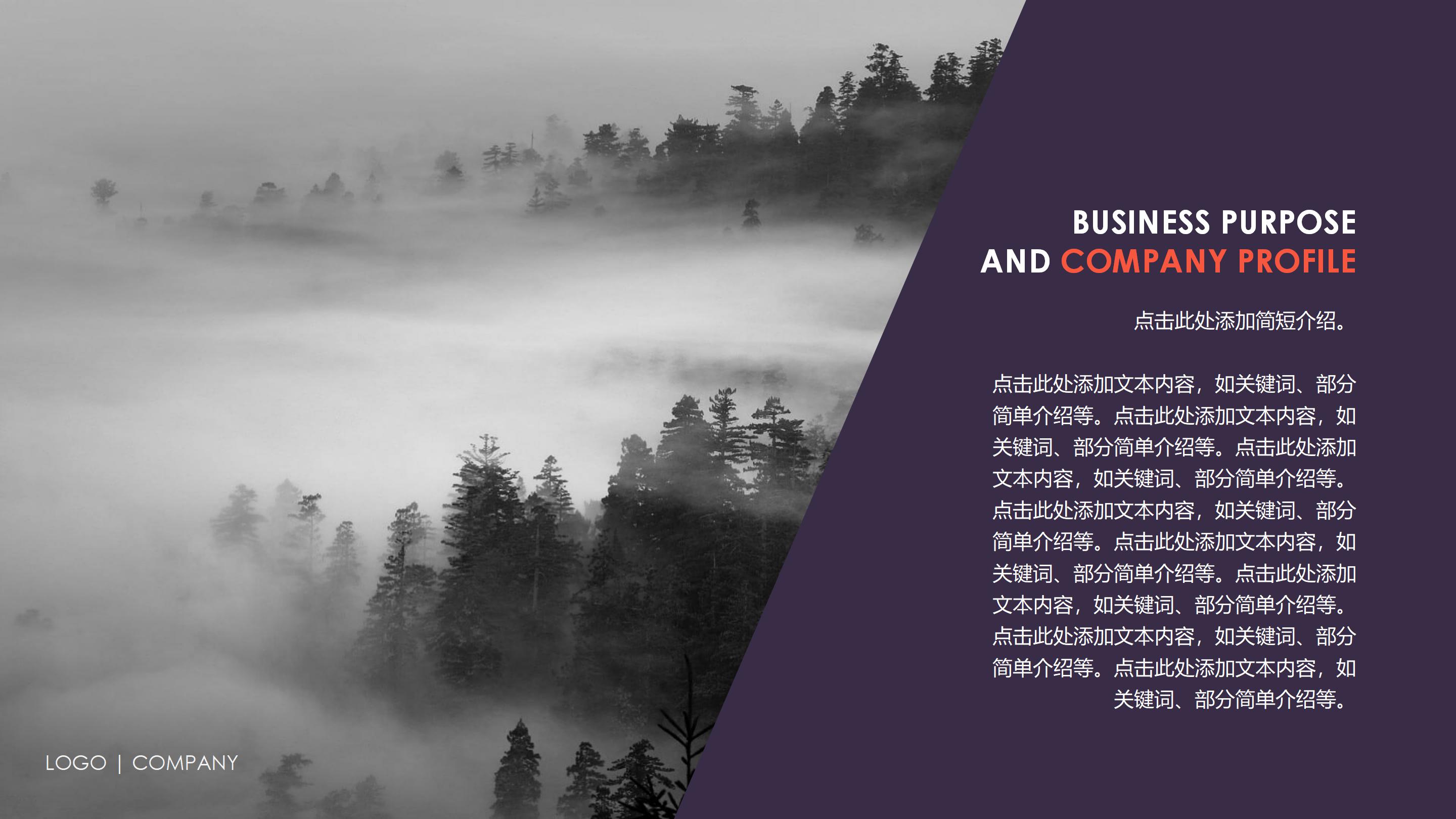 新古典软装设计方案ppt模板