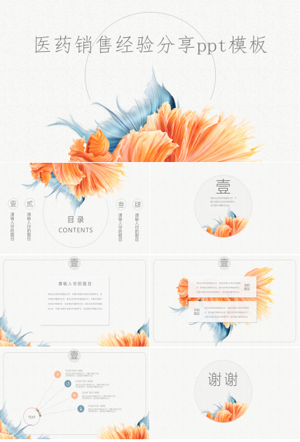 医药销售经验分享ppt模板