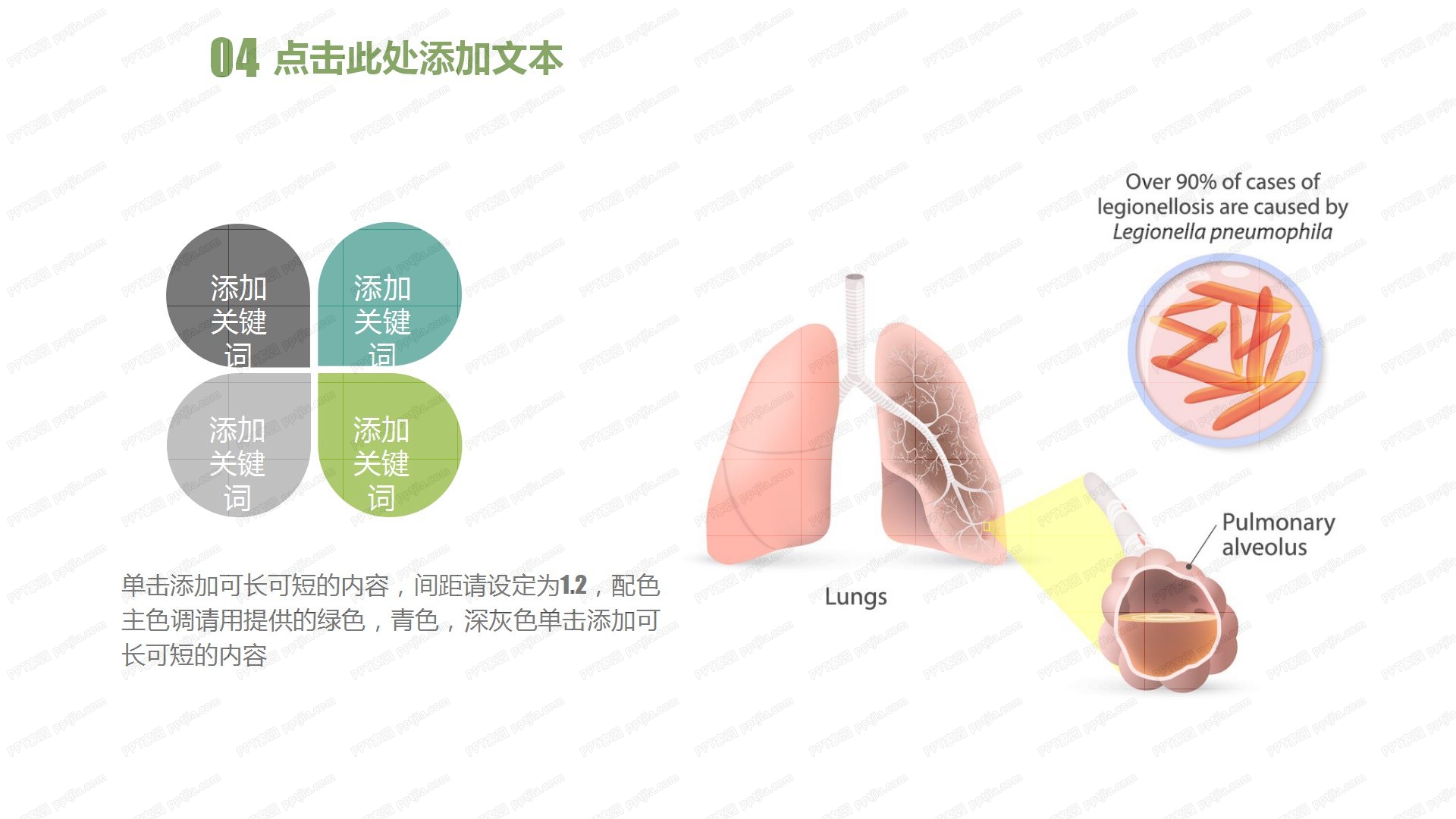清新简洁护士护理工作计划ppt模板