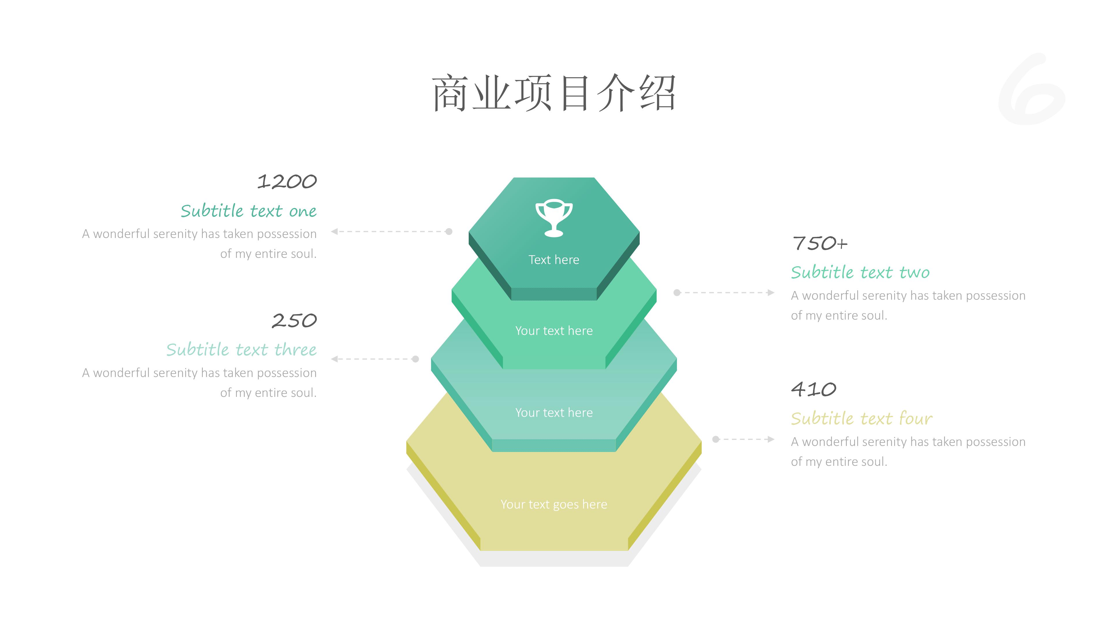 项目融资案例ppt模板