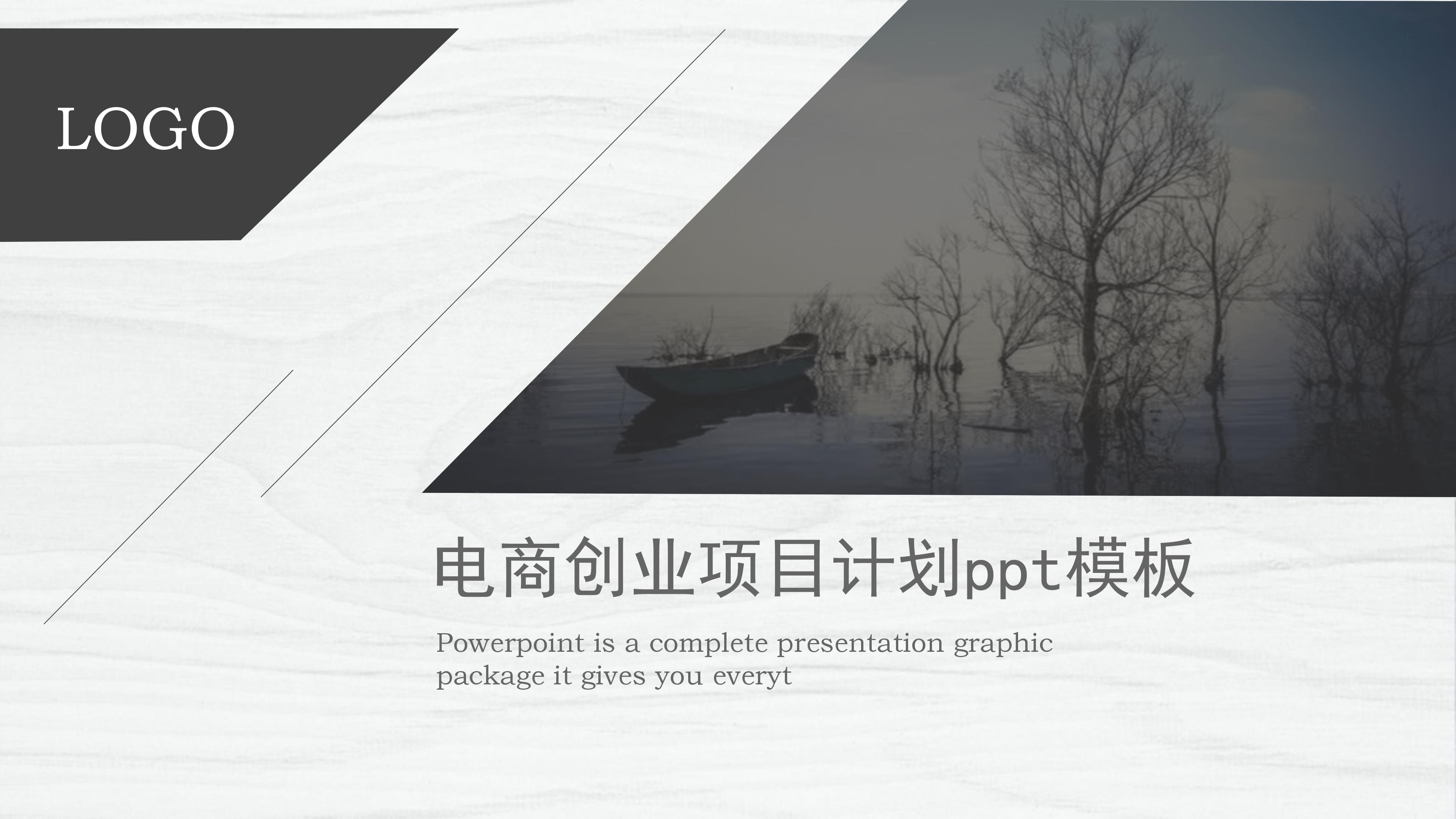 电商创业项目计划ppt模板