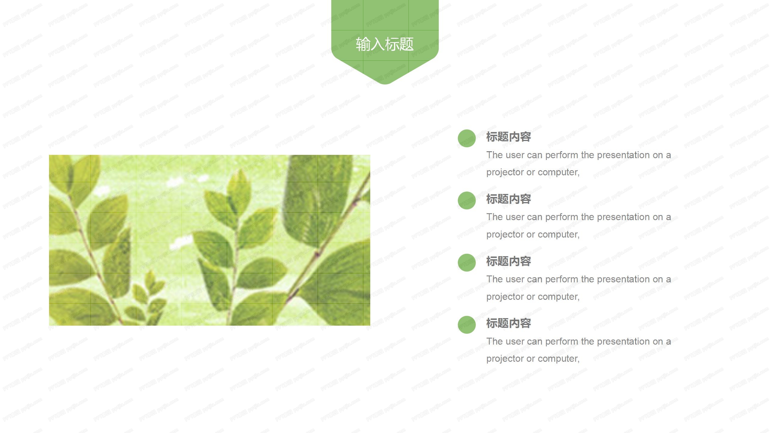 绿色小青蛙背景卡通教育教学通用ppt模板