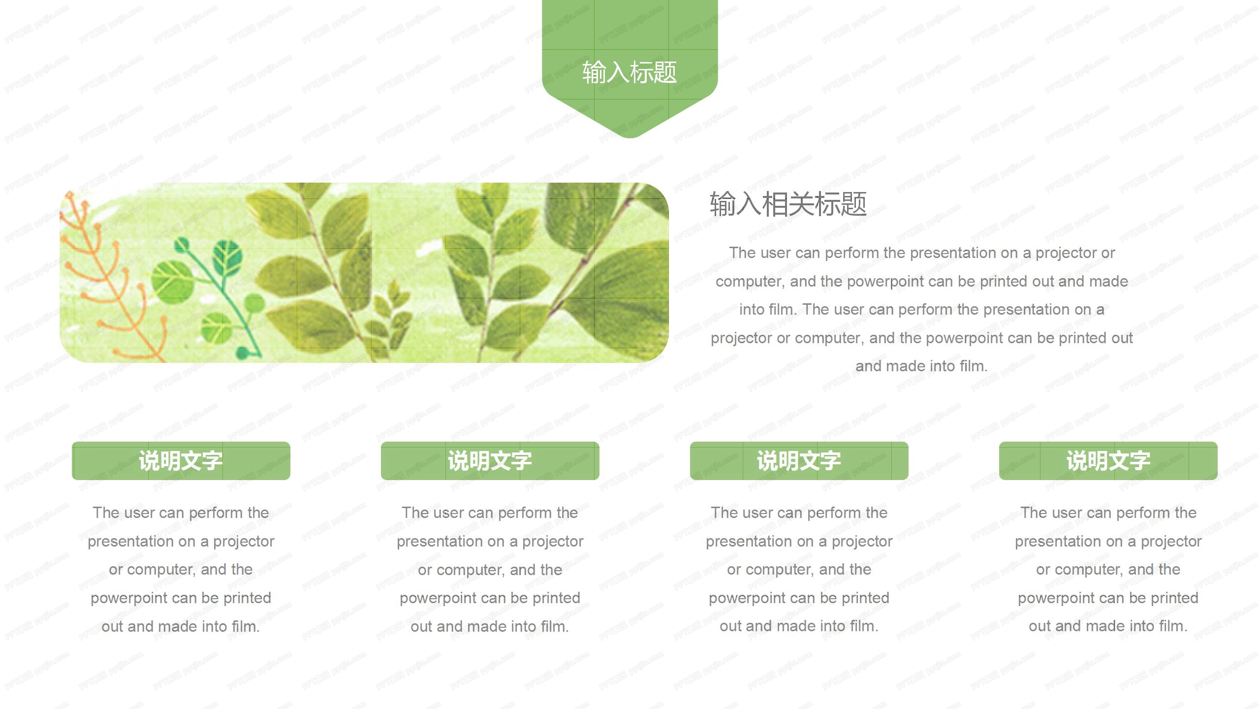 绿色小青蛙背景卡通教育教学通用ppt模板