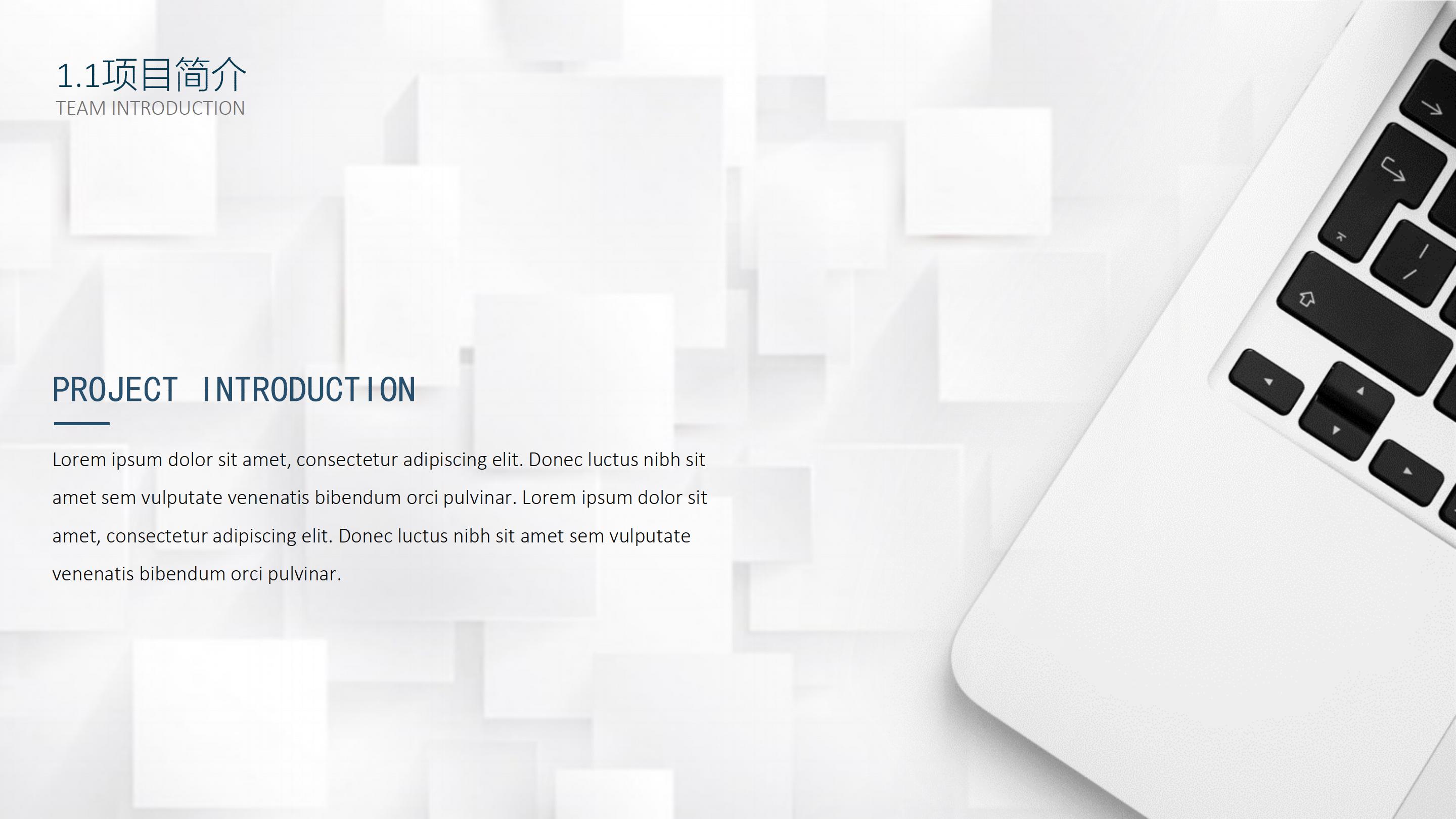 商品调查工作汇报ppt模板