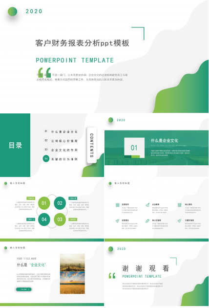 客户财务报表分析ppt模板
