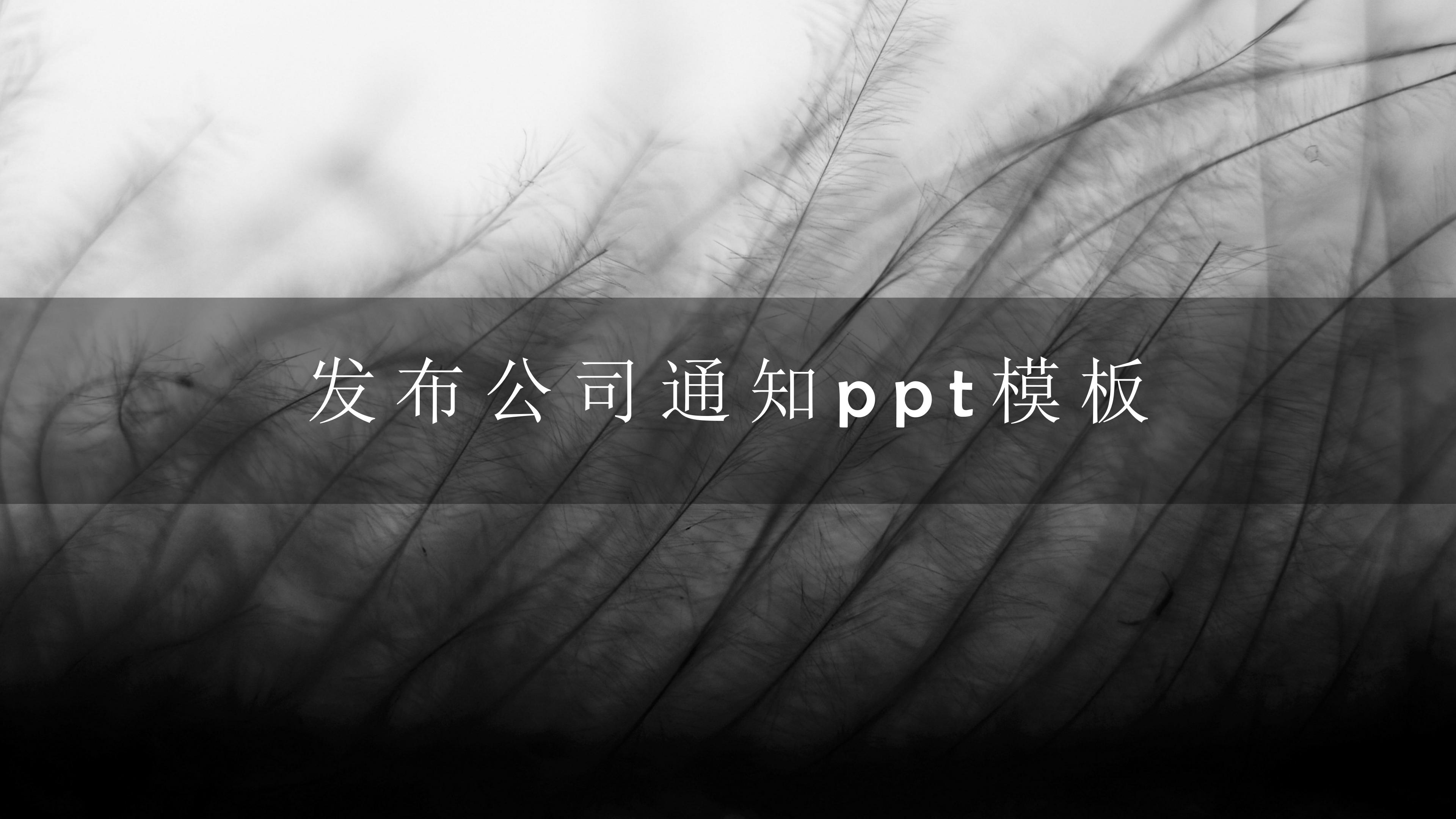 发布公司通知ppt模板