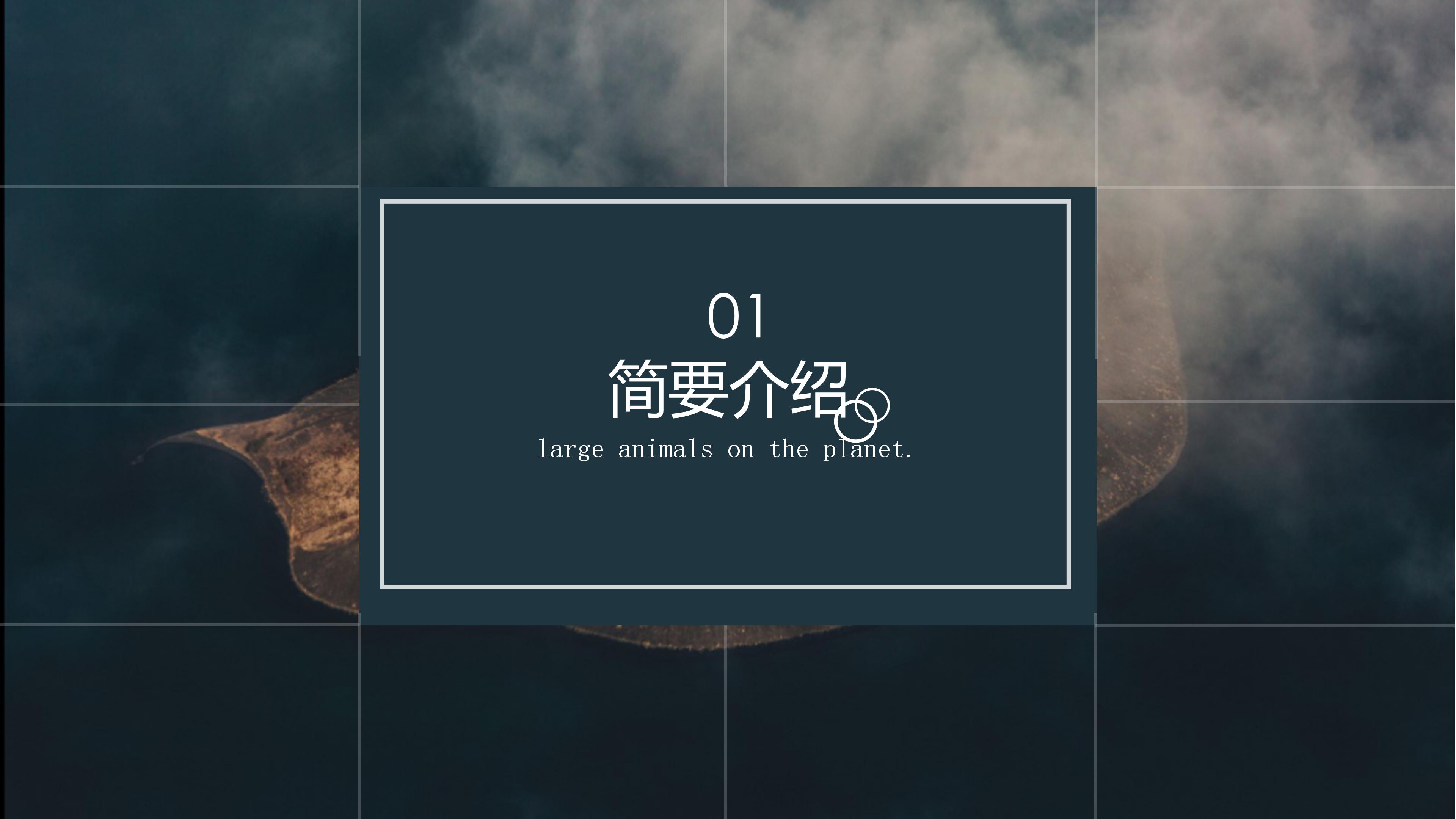 法学职业生涯规划ppt模板