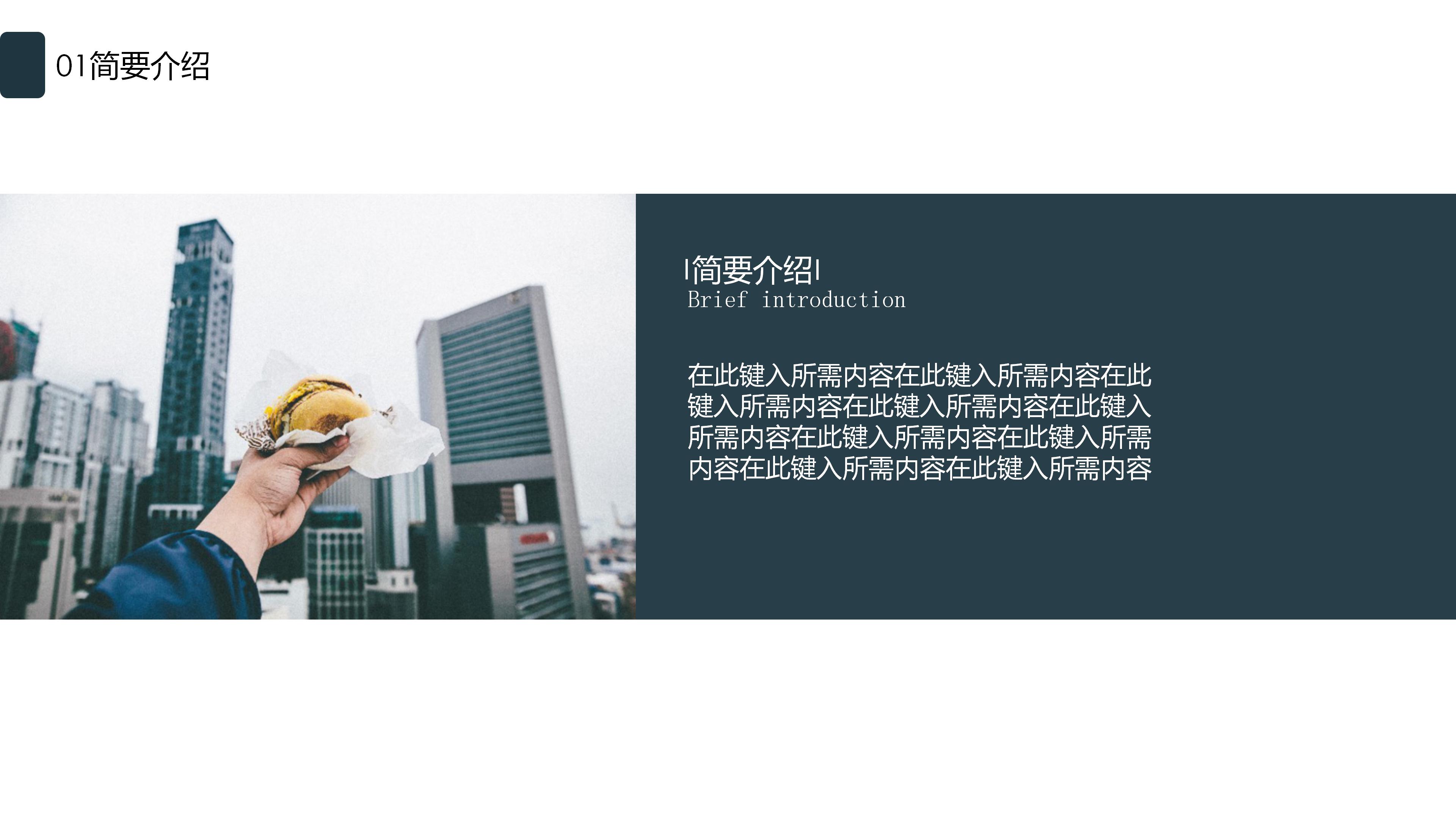 法学职业生涯规划ppt模板