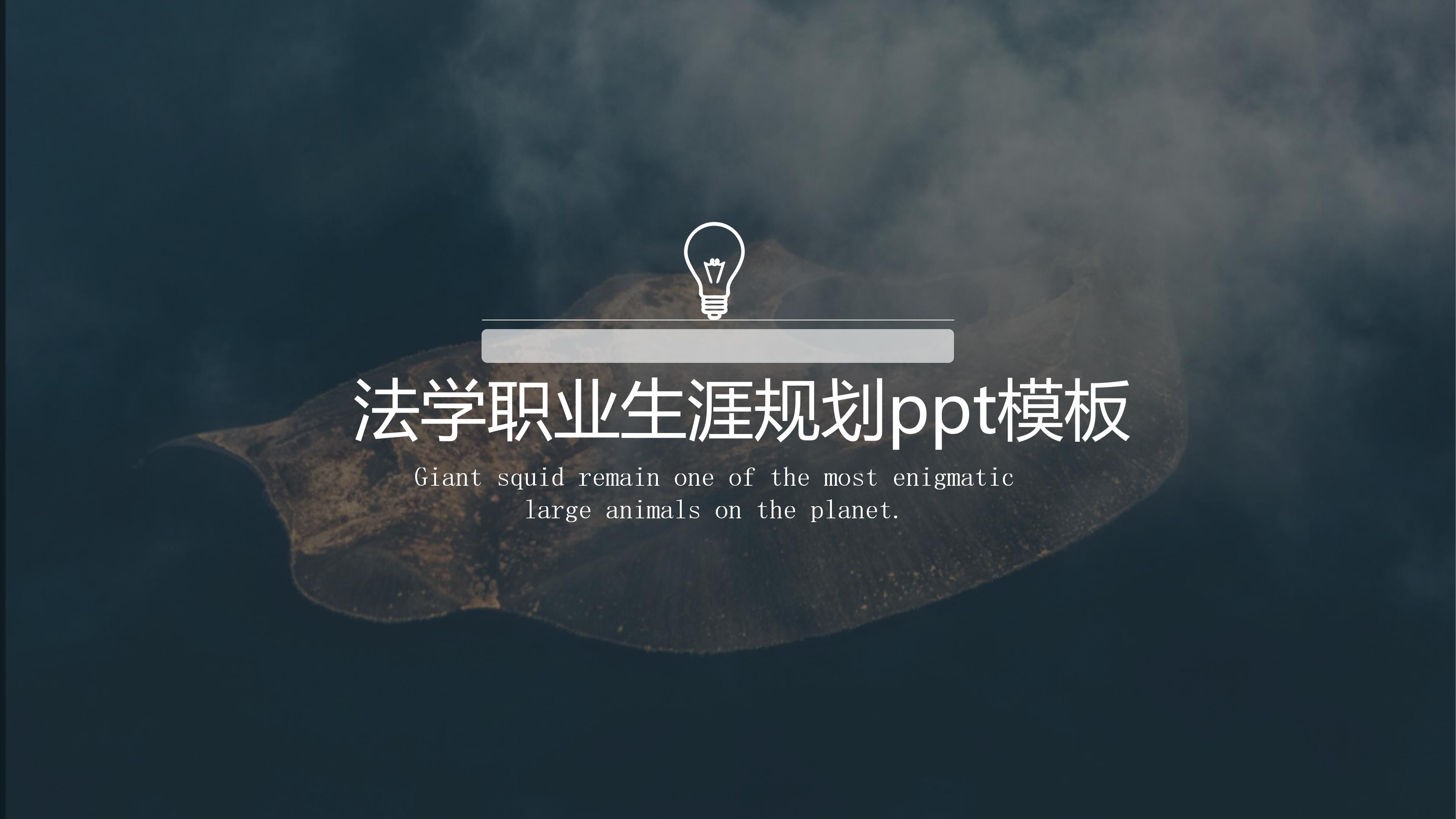 法学职业生涯规划ppt模板