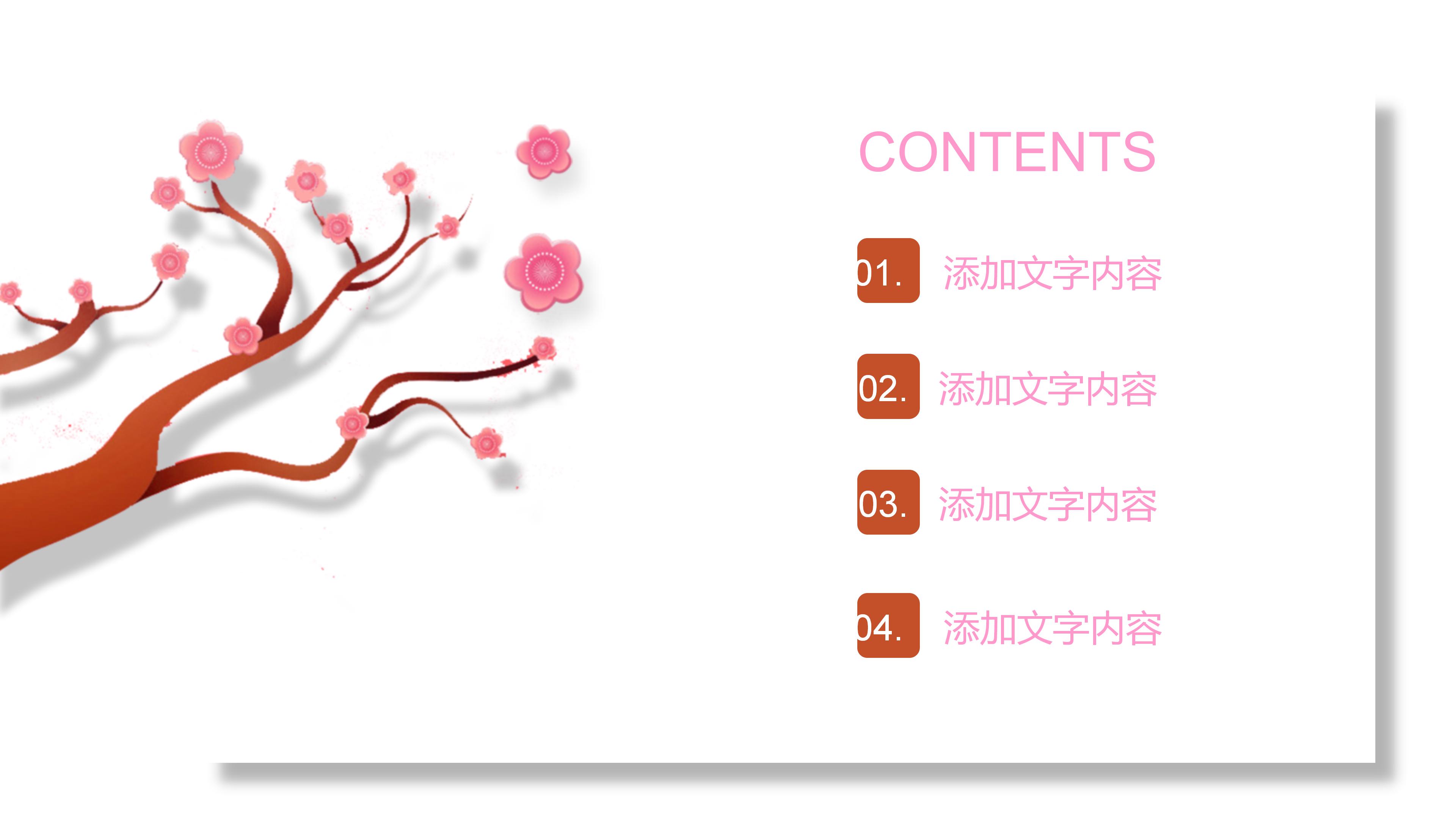 国际会议讲解ppt模板