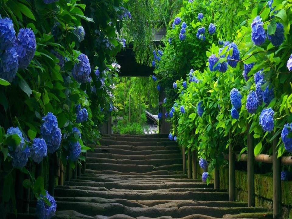 触摸春天ppt模版