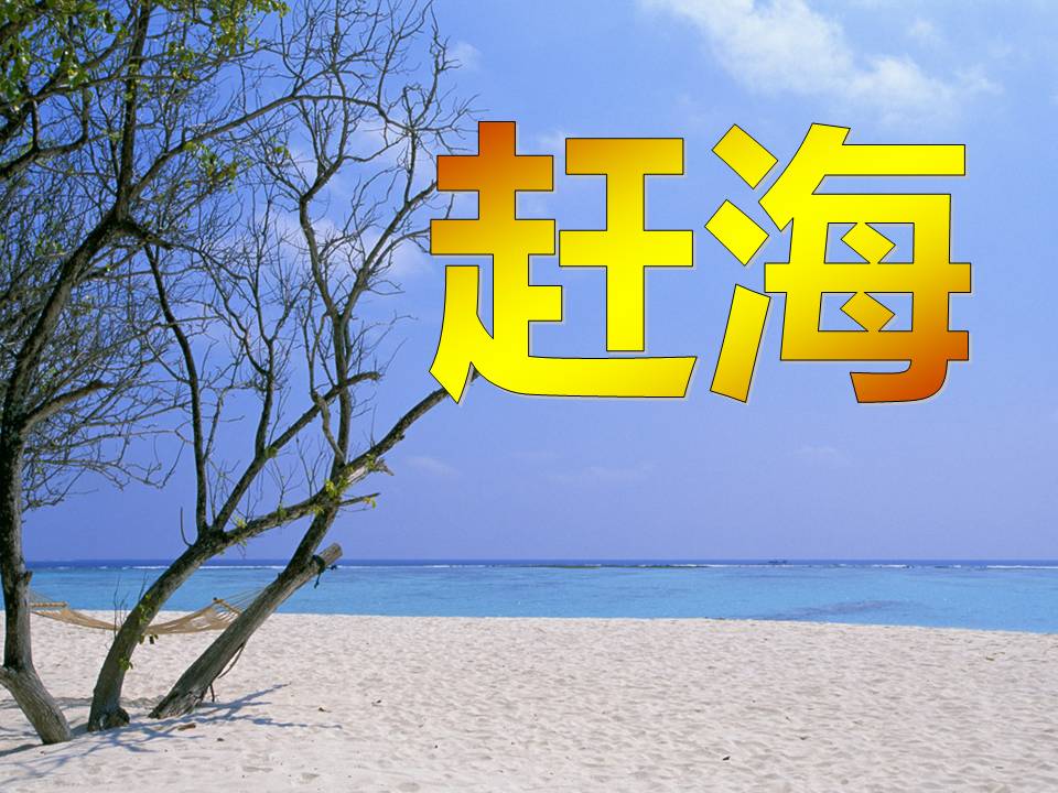 赶海ppt免费