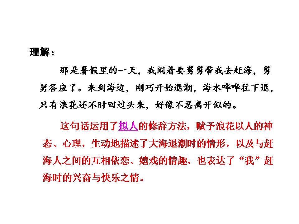 赶海说课ppt模板2