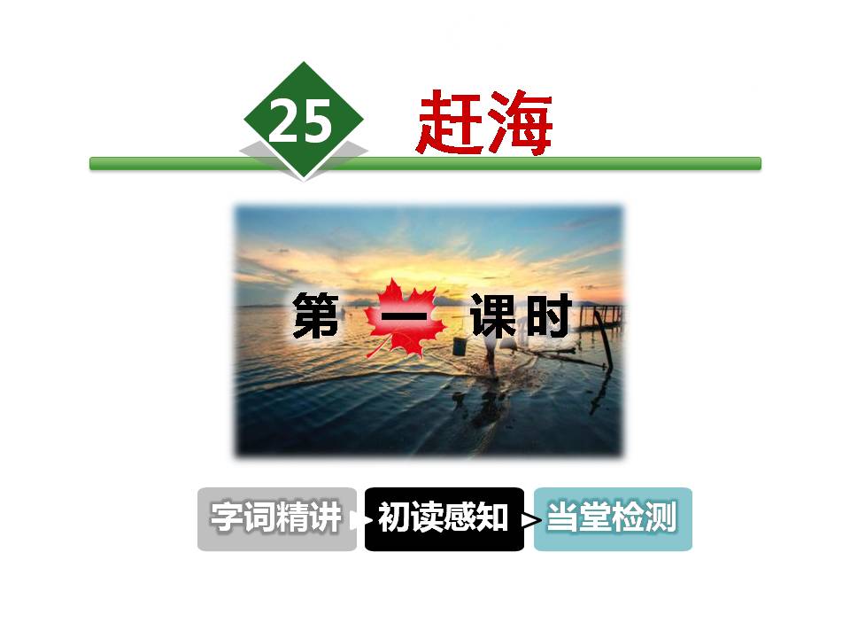 赶海说课ppt模板